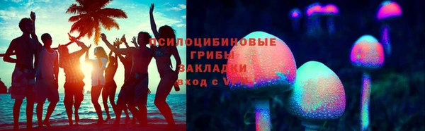 стаф Сосновоборск