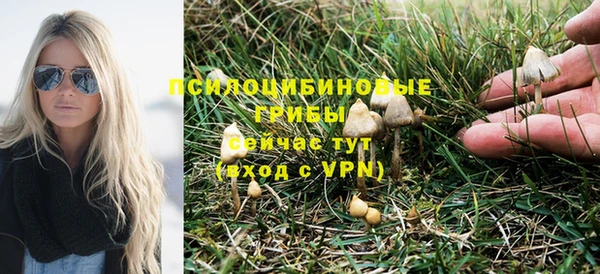 дурь Верея